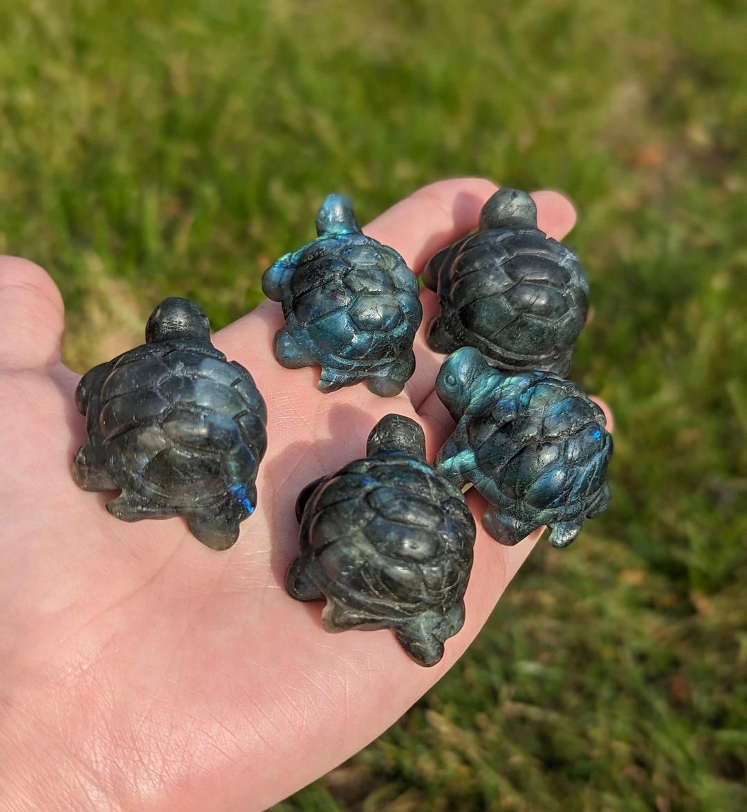 Mini Labradorite Turtles With Blue Green Flash - Etsy