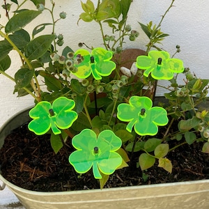 Ozdoby ogrodowe SunCatcher Lucky Shamrock, zestaw 5 małych świecących dekoracyjnych palików ogrodowych, akcesoria ogrodowe na zewnątrz, prezent dla ogrodników