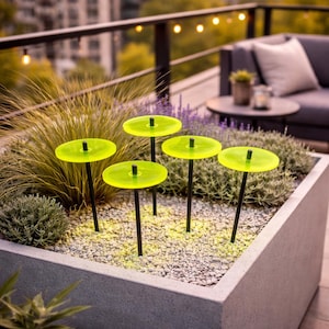 Juego de 5 discos solares luminosos, estacas decorativas para jardín, atrapasoles, 25 cm de alto, para exteriores.