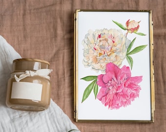 Peonies Acquerello Stampa opaca senza cornice, Poster floreale, Pittura botanica, Opere d'arte floreale rosa, Arredamento per la casa, Arte murale