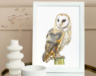 Barn Owl Watercolor Unframed Matte Print, Wildlife Artwork, Realistic Painting, Cute Home Decor