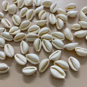 Può includere: Una collezione di conchiglie di ciprea bianche, ciascuna con una superficie liscia e lucida e un'apertura a fessura. Le conchiglie sono sparse, mostrando le loro forme naturali e organiche. Il colore è bianco crema.