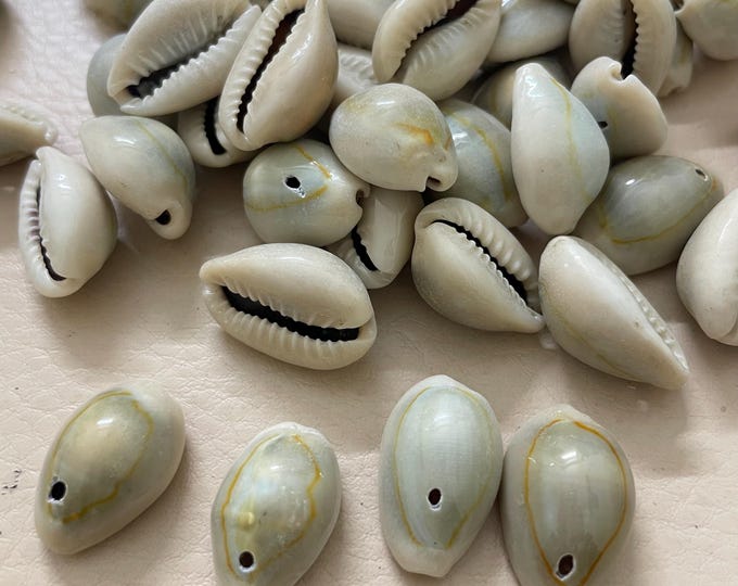 Natural Cowrie Shell Beads for Jewelry Making