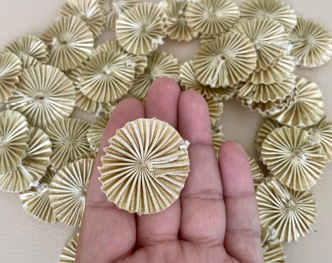 Golden Gota Patti Appliques, Indian Trim, Craft Supplies (25 Pieces, 20mm)