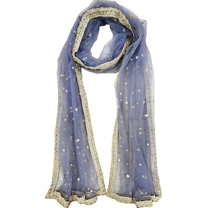 May include: A light blue sheer scarf with gold sequins and a gold embroidered border.