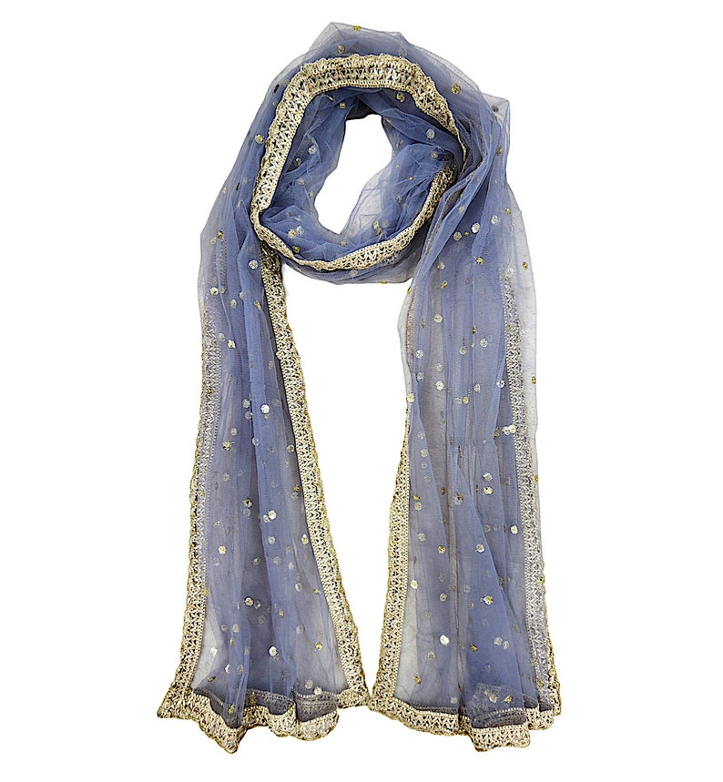 May include: A light blue sheer scarf with gold sequins and a gold embroidered border.