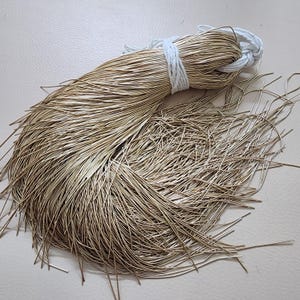 Könnte beinhalten: Ein Bündel dünner, goldfarbener Drähte, zusammengebunden mit einem weißen Faden. Die Drähte sind an einem Ende ordentlich gebündelt und am anderen locker, wobei viele einzelne Teile sichtbar sind. Geeignet für Bastel- oder Schmuckarbeiten.