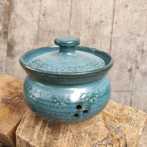 Puede incluir: Un tarro de cerámica turquesa para ajos con tapa. El cuerpo redondo presenta tres pequeños agujeros y un diseño floral. La tapa tiene un pequeño pomo. El tarro está sobre una superficie de madera.