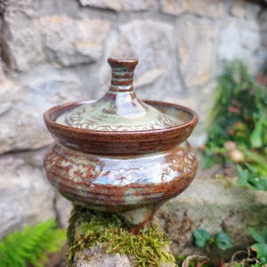 May include: A small, round, lidded ceramic jar with a glossy finish. The piece features a deep brown glaze on the base and rim, transitioning into a lighter, mottled sage green on the lid and upper body, accented by a subtle, embossed floral pattern.