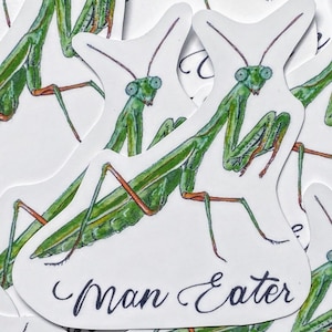 Waterproof Praying Mantis Man Eater Sticker. Funny Educational Bug Sticker