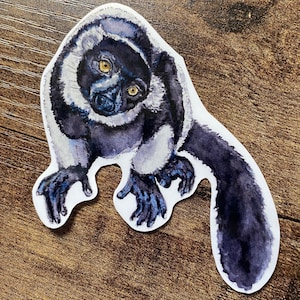 Lemur Sticker