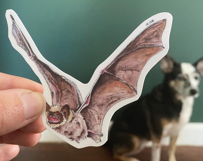 Bat Sticker - Etsy