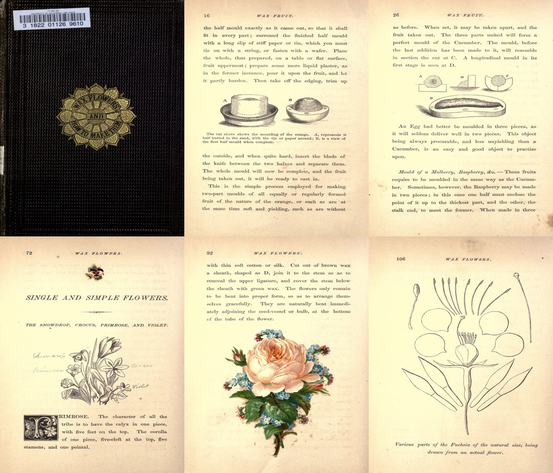 Wax Flowers How to Make Them, 1864, Vintage Wax Ornaments & Decorations