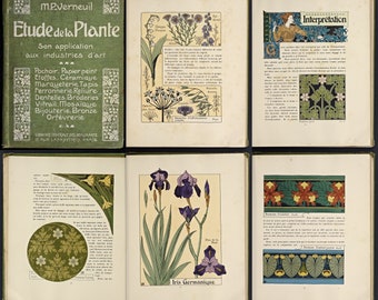 Etude de la plante son application aux industries d'art: French Decroation flowers in art sample book 1903, PDF pochoir, papier peint,