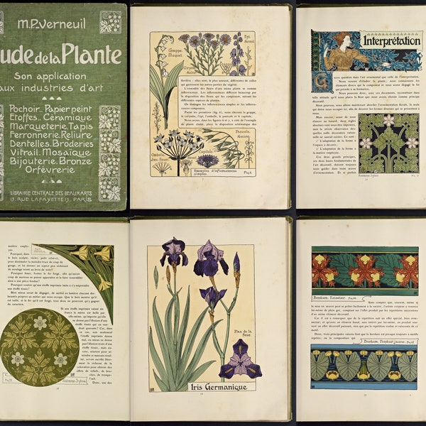 Etude de la plante  son application aux industries d'art: French Decroation flowers in art sample book 1903, PDF pochoir, papier peint,