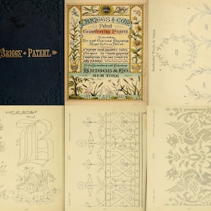 Embroidery Designs from Briggs & Co.&#39;s 1880 - Designs for all kinds of embroidery. Vintage Embroidery Ideas Book, PDF