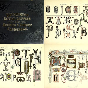 Letras iniciais iluminadas e alfabetos antigos e modernos do século VI ao XVIII, E-book de iluminação de letras ilustradas, PDF