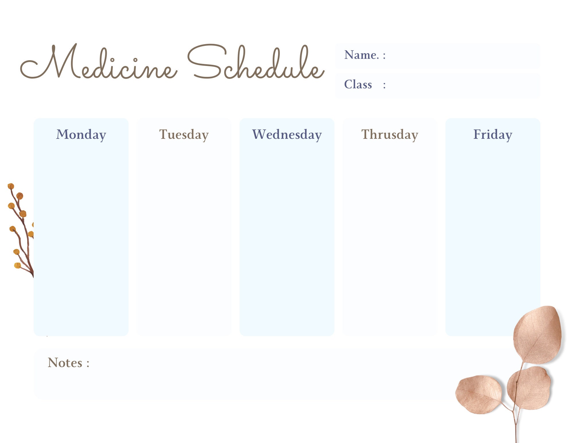 Medicine Schedule Pdf