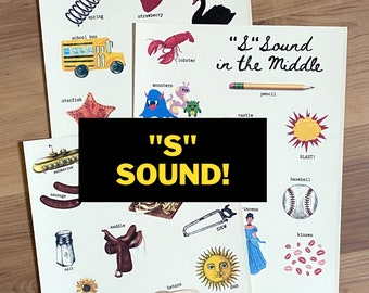 Point and Say Worksheets, S Sounds, Toddler, Preschool, School, Speech, Learning Supplies