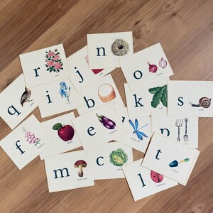 May include: A set of alphabet flash cards with illustrations of various objects, including a bird, a nest, an onion, a cabbage, a snail, a dragonfly, an apple, an eggplant, a mushroom, a ladybug, a fork, a trowel, a basket, a flower, and a bird. The cards are on a wooden surface.