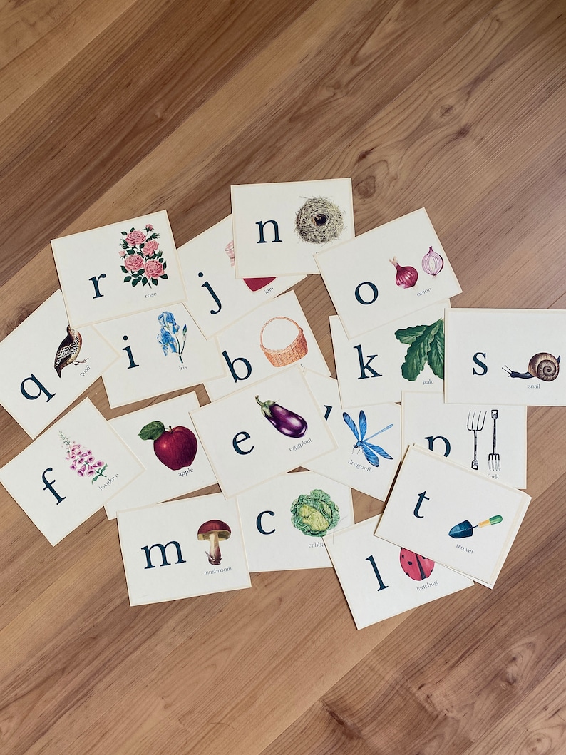 May include: A set of alphabet flash cards with illustrations of various objects, including a bird, a nest, an onion, a cabbage, a snail, a dragonfly, an apple, an eggplant, a mushroom, a ladybug, a fork, a trowel, a basket, a flower, and a bird. The cards are on a wooden surface.