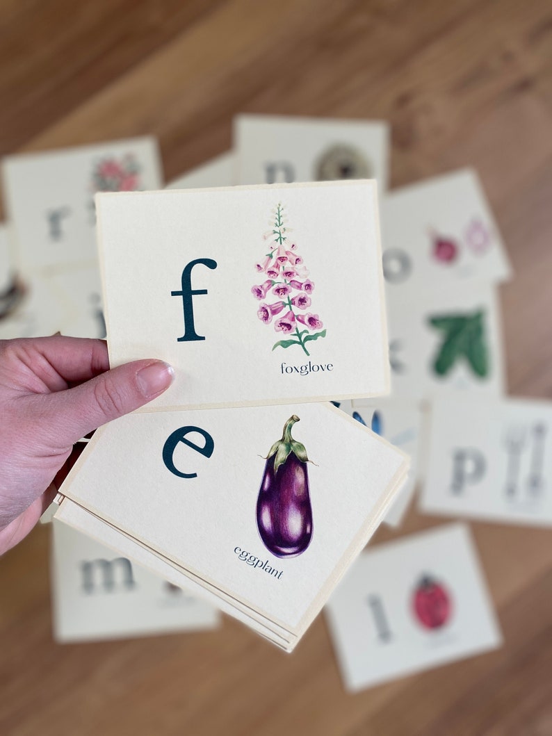 May include: A set of alphabet flash cards featuring illustrations of plants and animals. The cards are cream colored with black lettering and colorful illustrations. The cards show the letters 'f' for foxglove and 'e' for eggplant.