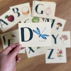 Cartões de alfabeto, letras maiúsculas, tema de jardim, materiais para educação domiciliar, não escolar, escola natural, alfabeto