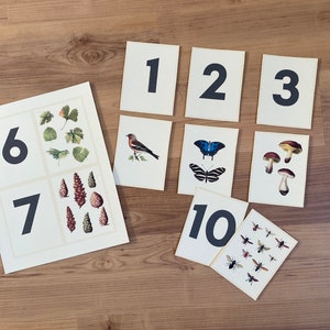 Flash Card Variety Pack, Botanische Flashcards, Natuur Thema Flash Cards, Homeschool Supplies, Montessori Flash Cards