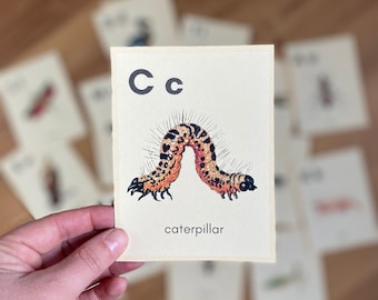 Alphabet Flash Cards, Bugs and Birds, Garden Theme, Homeschool Supplies, Unschool, Nature School, Montessori