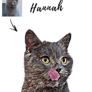 May include: A digital painting of a gray cat with yellow eyes. The cat is licking its lips and looking to the right. The cat's name, "Hannah", is written in black cursive above the cat.