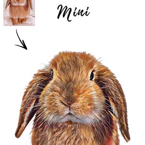 Custom digital drawing bunny portrait for rabbit lover. Brown rabbit portrait print on white background colour from you pet's photo. Personalized digital pet portrait file or poster print.