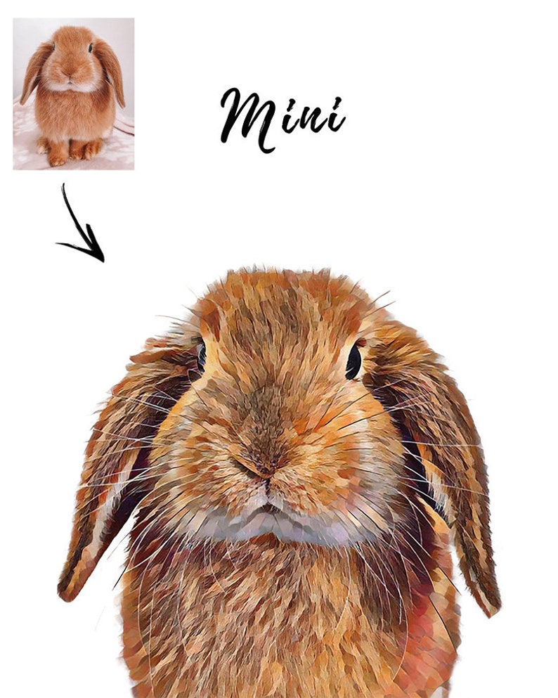 Custom digital drawing bunny portrait for rabbit lover. Brown rabbit portrait print on white background colour from you pet's photo. Personalized digital pet portrait file or poster print.