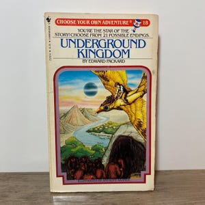 Peut inclure: Un livre de poche vintage intitulé "Underground Kingdom" par Edward Packard. La couverture présente une illustration colorée d'une créature volante avec une personne dessus, une rivière, des montagnes et le texte "Choose Your Own Adventure".