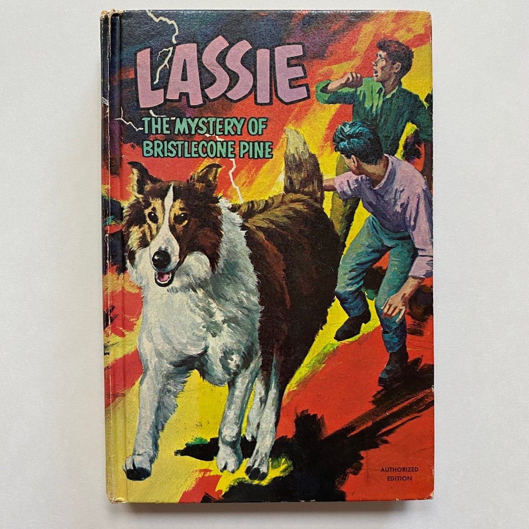 1967 Lassie the Mystery of Bristlecone Pine Hardcover Kids Book