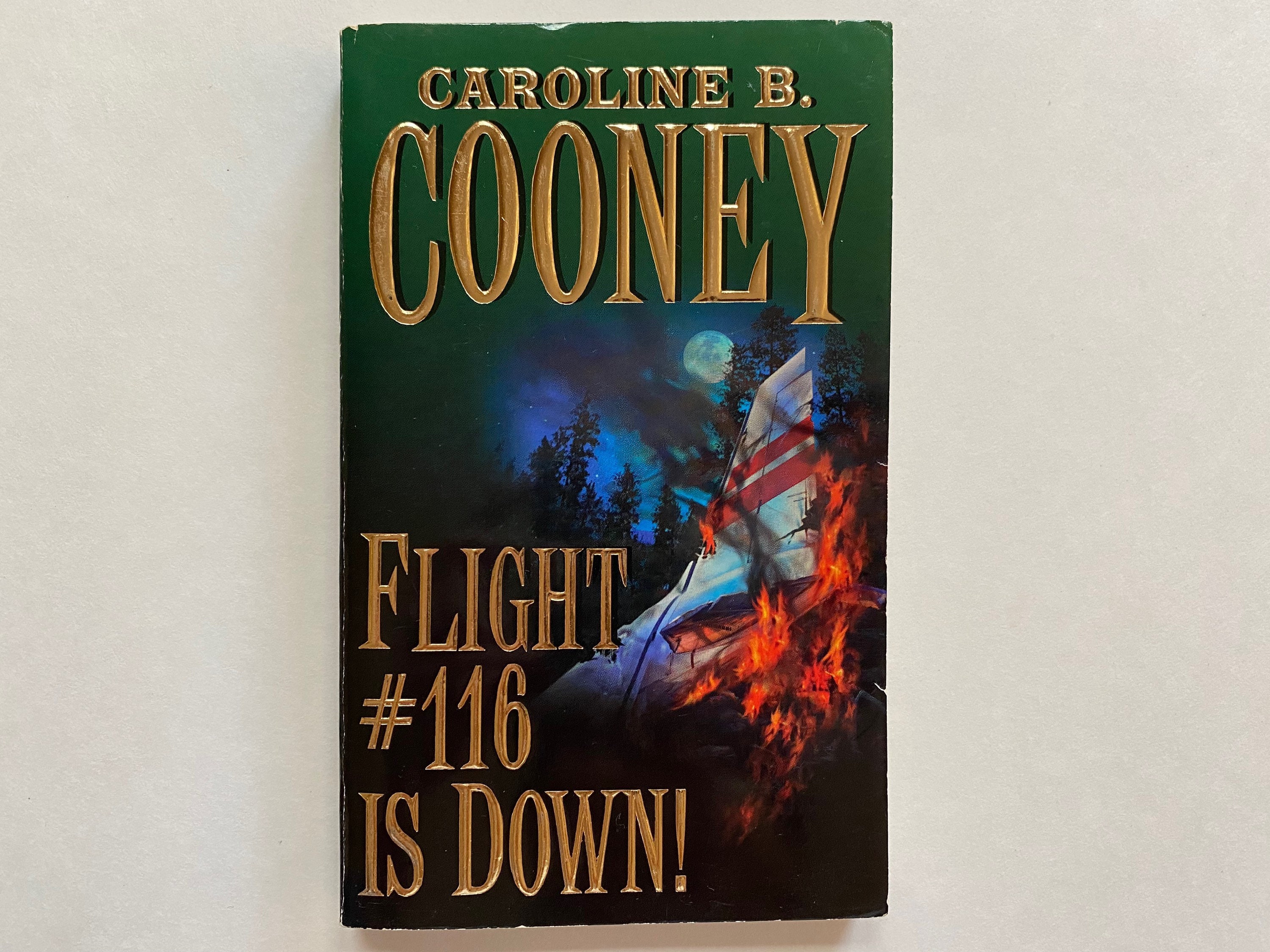 Flight 116 Is Down
