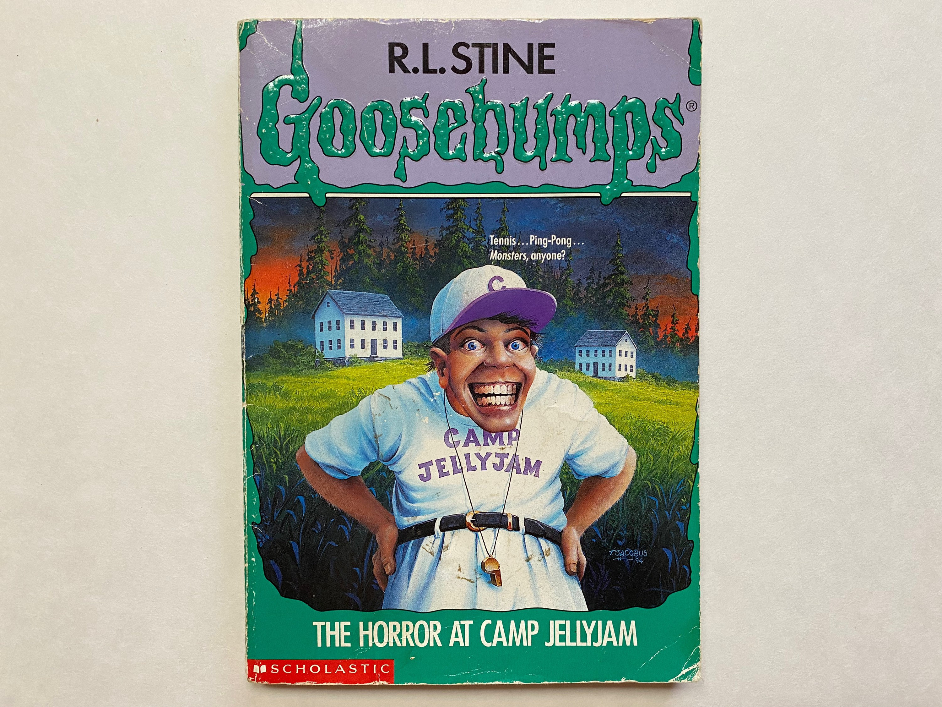 Goosebumps 33 the Horror at Camp Jellyjam Paperback Book by RL Stine Etsy