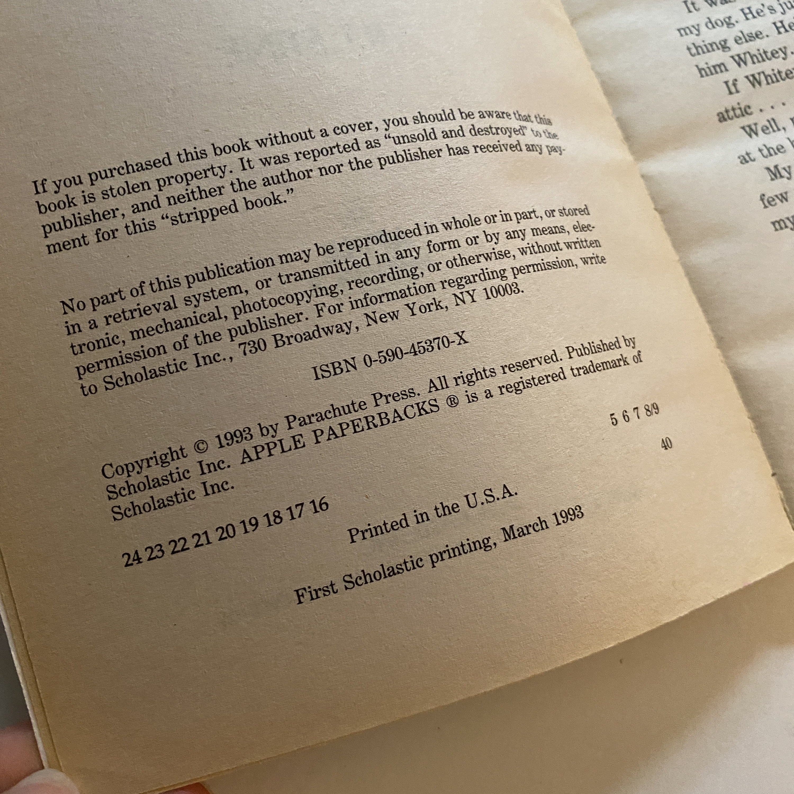 グースバンプス #6 レッツ・ゲット・インビジブル ペーパーバック版 RL