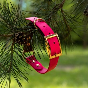 Biothane dog Collar 1&quot;, 2 colors - adjustable dog collar - waterproof dog collar - Standard buckle dog collar