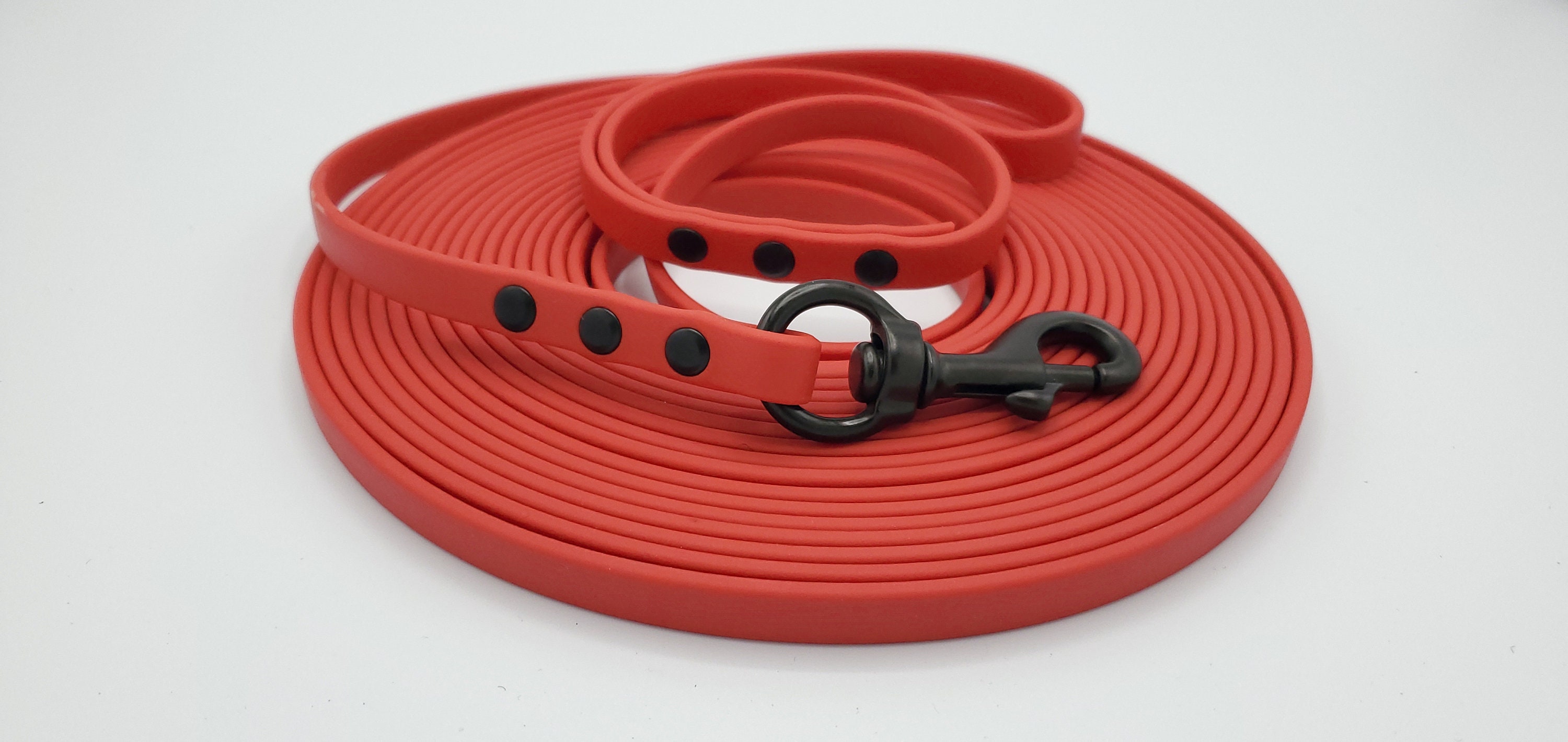 Biothane Lead 1/2 Long Dog Leash Biothane 1/2 Etsy Canada