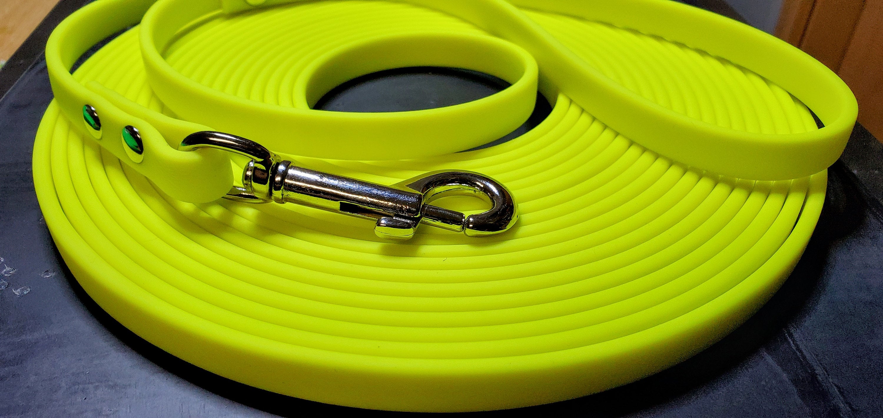 Biothane Lead 1/2 Long Dog Leash Biothane 1/2 Etsy Canada