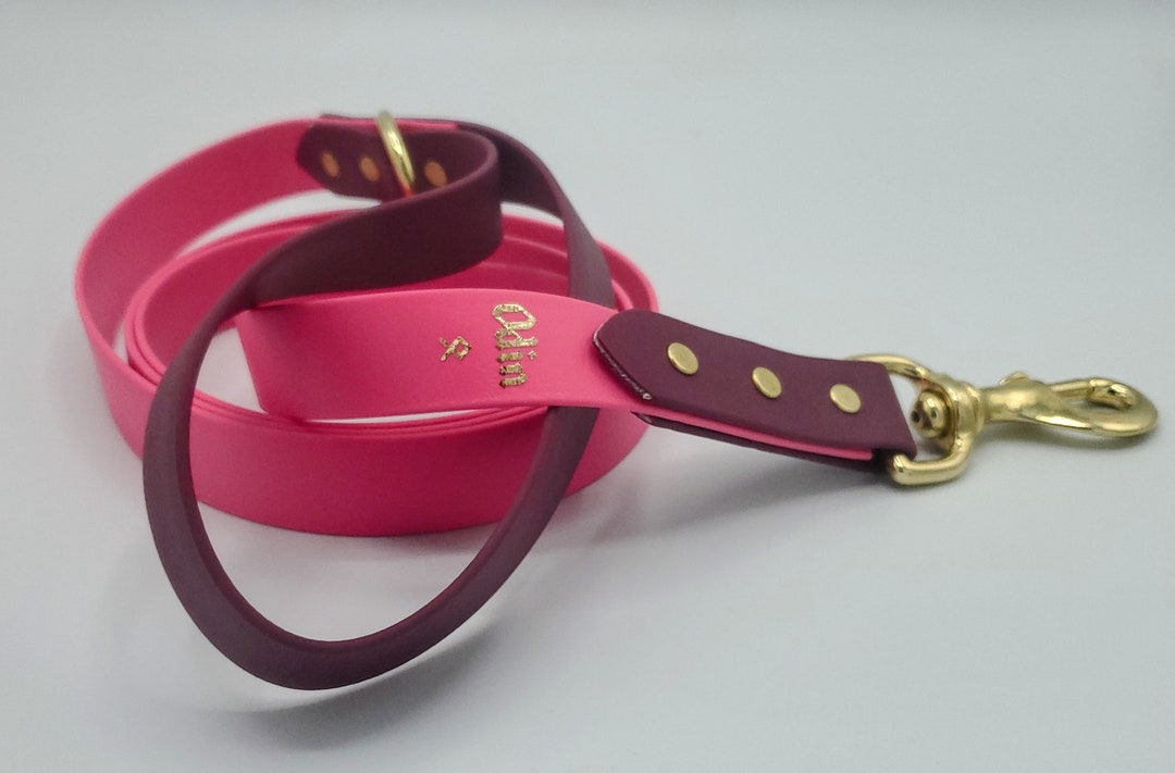 Biothane Leash 2 Colors 1 X 6'0 Classic Biothane Dog Leash Waterproof