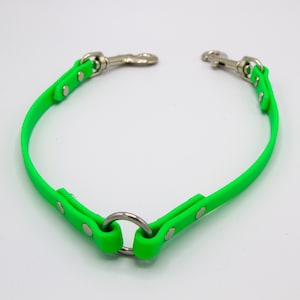 May include: Bright green dog collar with two silver metal clasps and a silver metal ring. The collar is made of a flexible, durable material and is designed for pet safety and comfort.