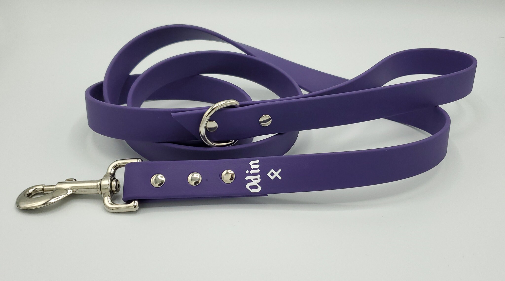 Biothane Leash 1 Classic Biothane dog leash Etsy