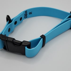 May include: A light blue dog collar with a black buckle and fittings. The word "Odin" is printed on the collar. The collar is made of a flexible material.