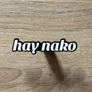 HAY NAKO | Filipino Funny Stickers Weatherproof Vinyl Stickers for Laptop, Hydroflask | Tagalog Lines