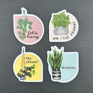 Aesthetic Plant Lover Stickers for Water Bottle, Laptop | Cheese Plant Sticker | Fittonia Sticker | Snake PlantSticker  | Pothos Sticker