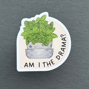 Aesthetic Fittonia Plant Lover Stickers for Water Bottle, Laptop | Cheese Plant Sticker