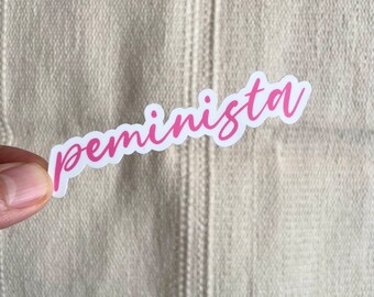 May include: A pink vinyl sticker with the word "feminista" written in a cursive font.