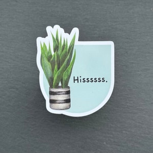 Snake Plant Sticker | Aesthetic Plant Lover Stickers for Water Bottle, Laptop | Cheese Plant Sticker