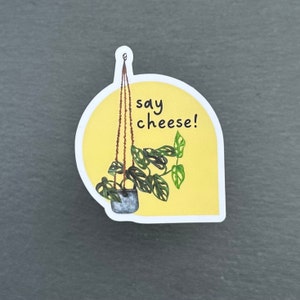 Aesthetic Plant Lover Stickers for Water Bottle, Laptop | Cheese Plant Sticker | Fittonia Sticker | Snake PlantSticker  | Pothos Sticker